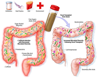 Imagen: ScienceDirect